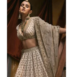 Ivory Tissue With Dabka And Gota Work Lehenga Set
