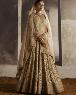 Ivory-Gold Sequin Jaal Lehenga