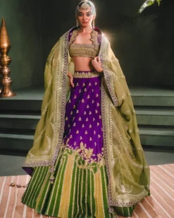 Jamun Fizz Lehenga Set