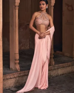 Jasime Champagne Gold Embroidered Sari Set
