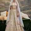 Khwab Sitara Lehenga Set