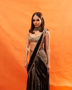 Komal Pre Draped Embroidered Sari Set