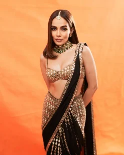 Komal Pre Draped Embroidered Sari Set