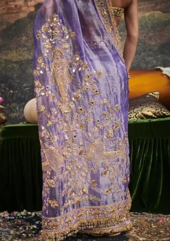 Krishna Leela Sari Set