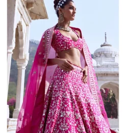 Krshnavi Lehenga Set