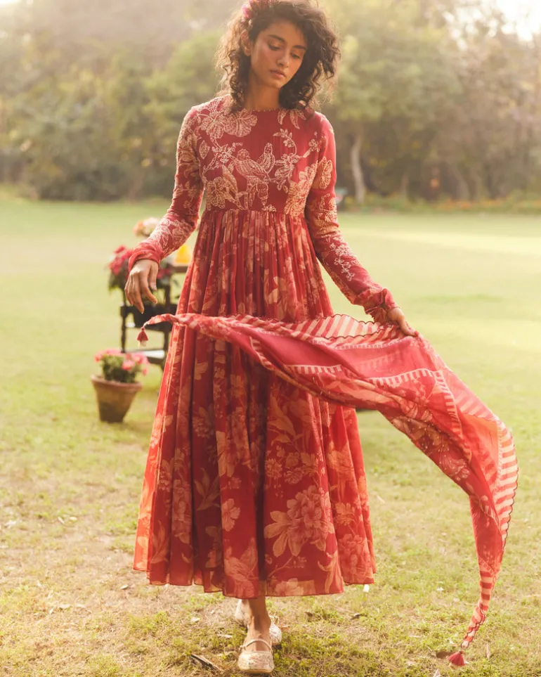 Lark Anarkali Set