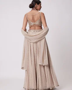 Light Beige Georgette Sharara Set