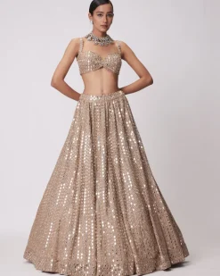 Light Beige Hand Embroidered Lehenga Set
