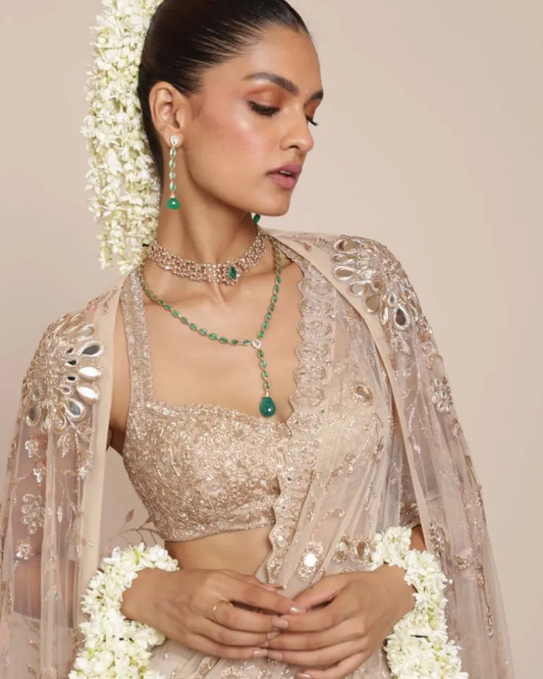 Light Nude Tulle Sari Set