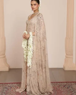Light Nude Tulle Sari Set