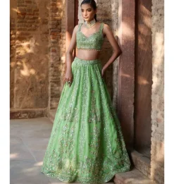 Lime Green Organza Lehenga Set