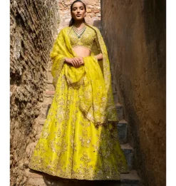 Lime Yellow Organza Lehenga Set