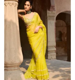 Lime Yellow Organza Sari Set