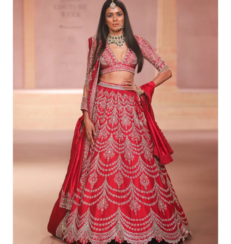 Malhaarika Zardozi Embroidered Lehenga Set