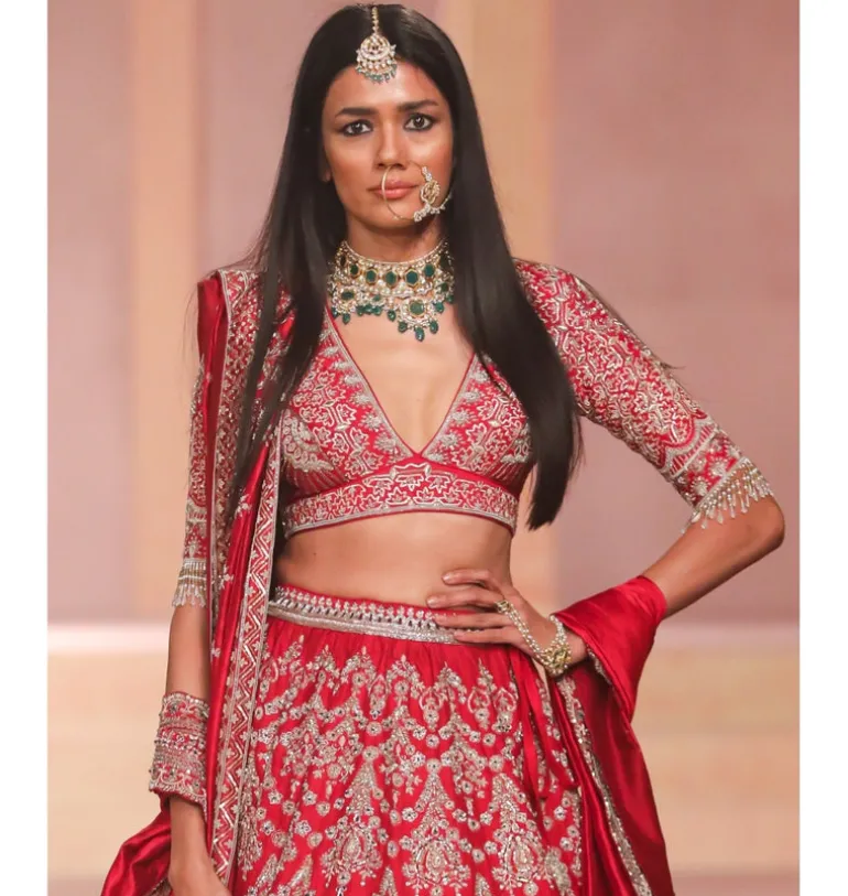 Malhaarika Zardozi Embroidered Lehenga Set