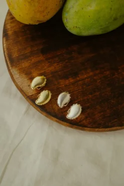 Mango Clips
