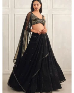 Marya Lehenga Set