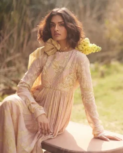 Maxina Anarkali Set