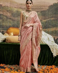 Mayur Shilp Sari Set