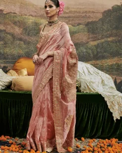 Mayur Shilp Sari Set