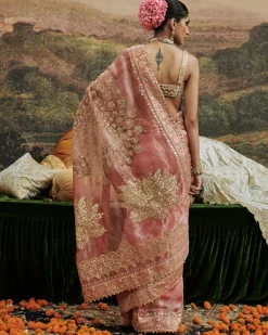 Mayur Shilp Sari Set