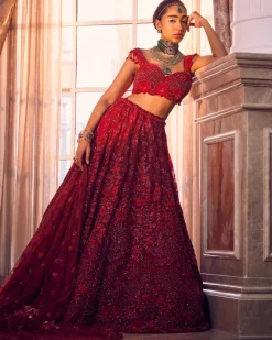Merlin Rose Lehenga Set
