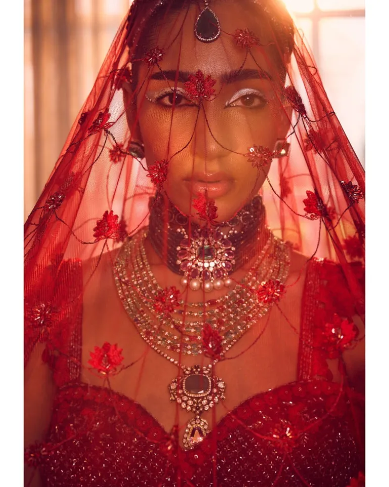 Merlin Rose Lehenga Set