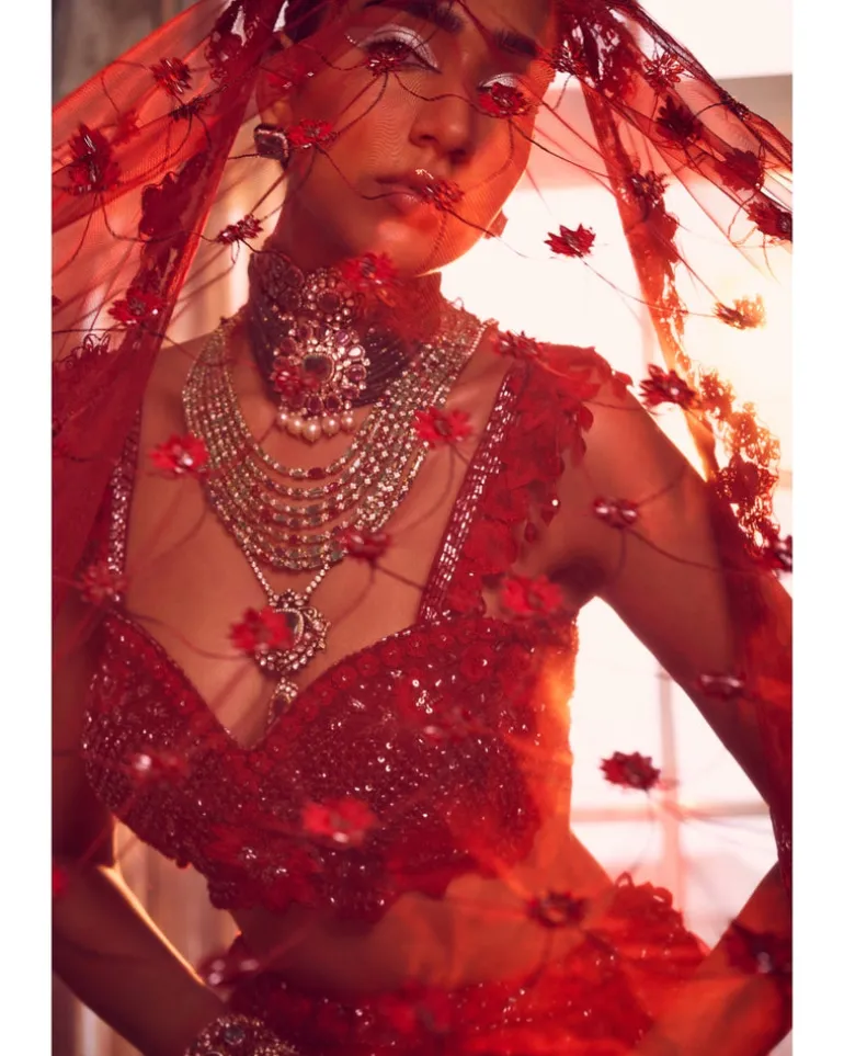 Merlin Rose Lehenga Set