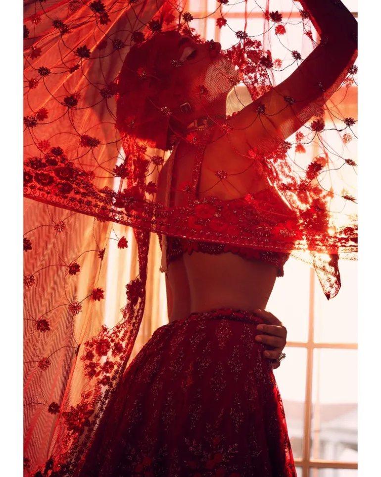 Merlin Rose Lehenga Set