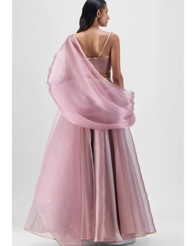 Mesh Cape And Skirt With Corded Bustier Set