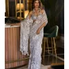 Metallic Silver Sari
