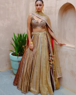 Metallic Tissue Lehenga Set