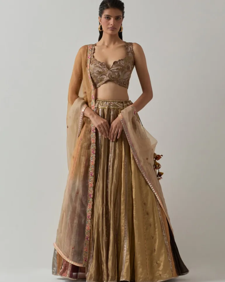 Metallic Tissue Lehenga Set