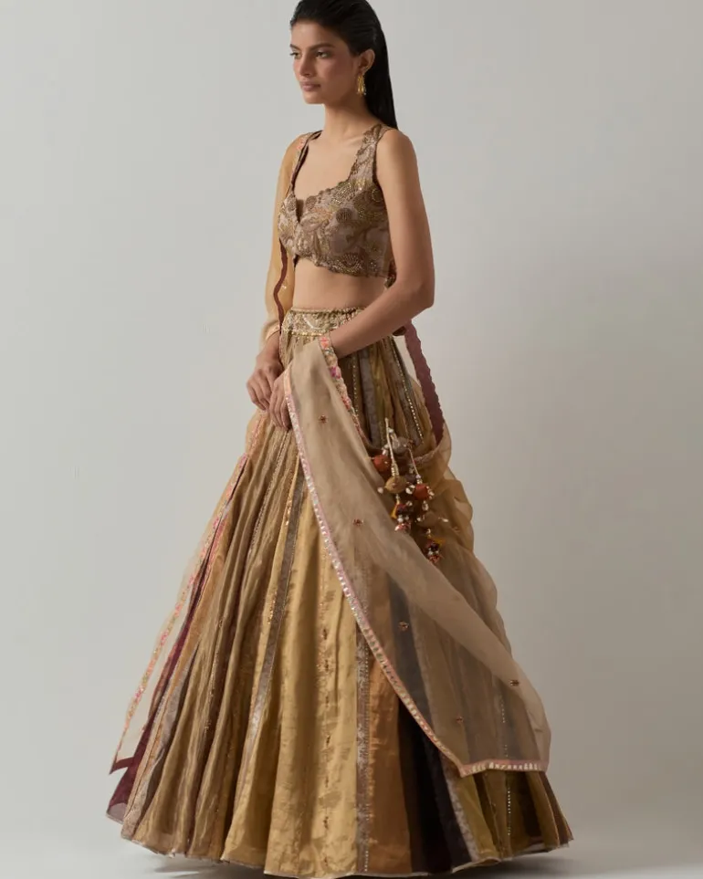 Metallic Tissue Lehenga Set