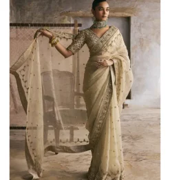 Mint Organza Dabka And Gota Work Sari Set