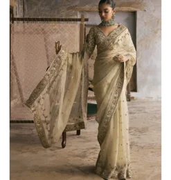 Mint Organza Dabka And Gota Work Sari Set