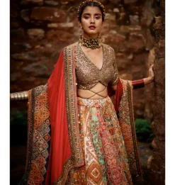 Multi Panel Diamond Lehenga Set