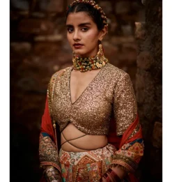 Multi Panel Diamond Lehenga Set