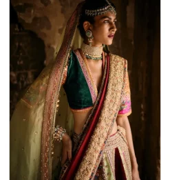 Multi Shimi Shimi Akashtara 24 Kalis Lehenga Set