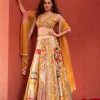 Multicolor Panel Lehenga Set