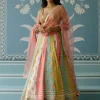 Multicolour Sayali Lehenga Set