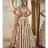 Multi-Coloured Panels Dori Work Lehenga Set