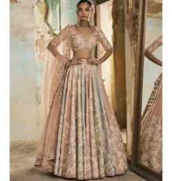Multi-Coloured Panels Dori Work Lehenga Set