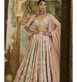 Multi-Coloured Panels Dori Work Lehenga Set