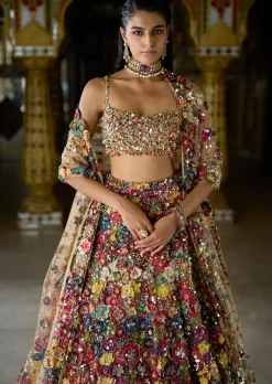 Multi-Coloured Three-Dimensional Floral Lehenga Set