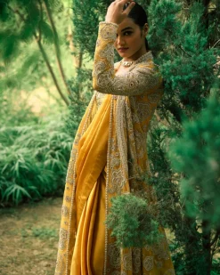 Mustard Sari And Jacket Set