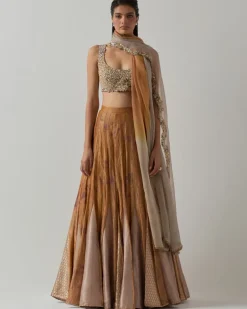 Mustard Tissue Lehenga Set