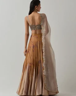 Mustard Tissue Lehenga Set