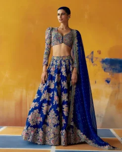 Mynah Lehenga Set
