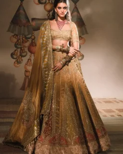Mysore Pak Lehenga Set